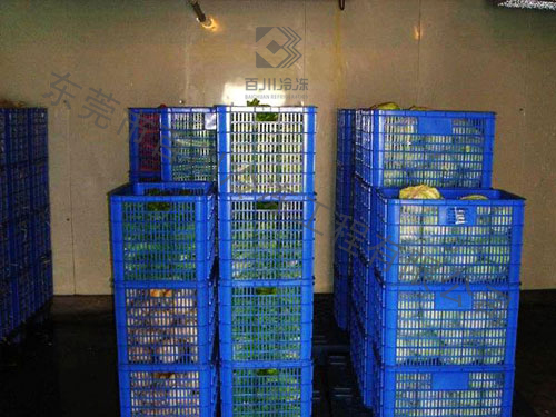 萬(wàn)人工廠食堂果蔬冷庫(kù)BC-004